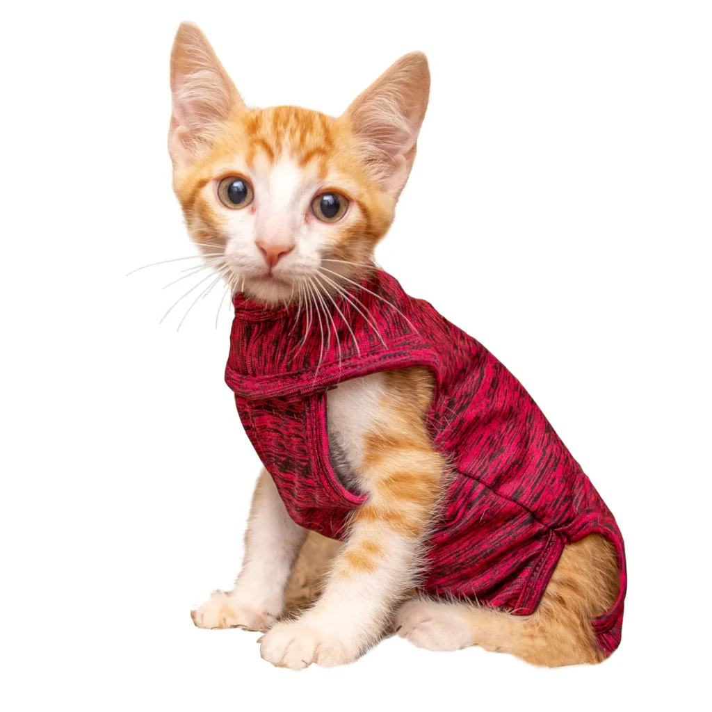 Roupa Pós Cirúrgica para Gatos Pet Designer