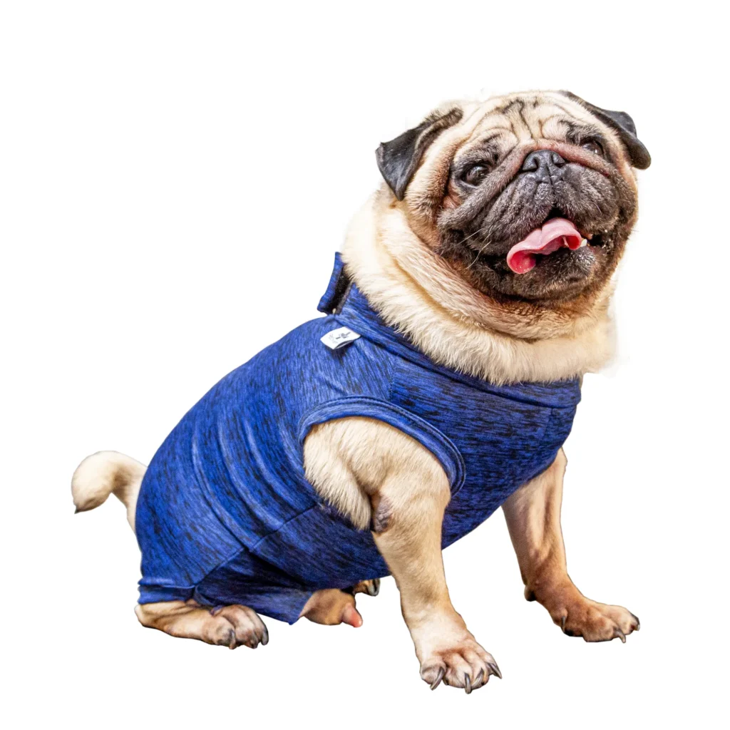 Roupas Pós Cirúrgica Raças Especiais Pug Pet Designer 01