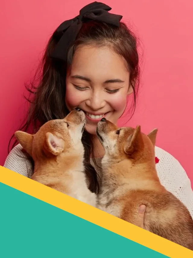 Mercado Pet Shop 2025: Tendências e Oportunidades