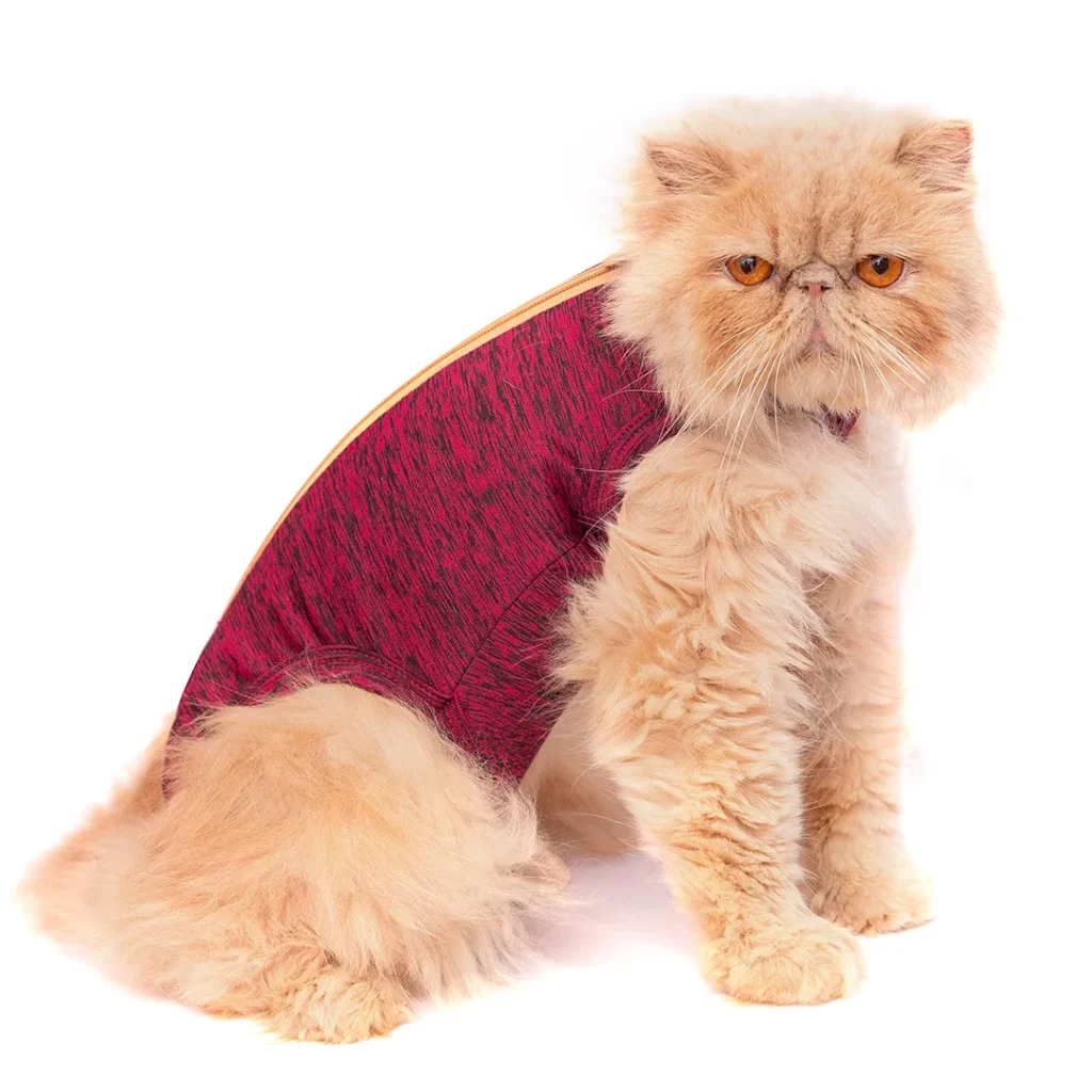 gato premium velcro vermelho pet designer ramo pet