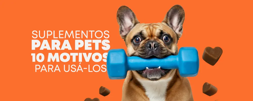 10 motivos para utilizar suplemetos pet