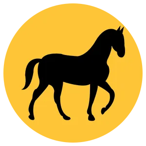 cavalo