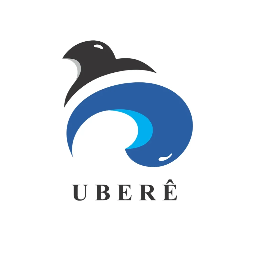 ubere distribuidora e importadora